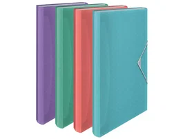 Esselte Colour Breeze Carpeta Clasificadora Fuelle A4 Polipropileno 6 Separadores Colores Surtidos