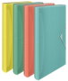 Esselte Colour Breeze Carpeta clasificadora DIN A4 con 6 separadores colores surtidos