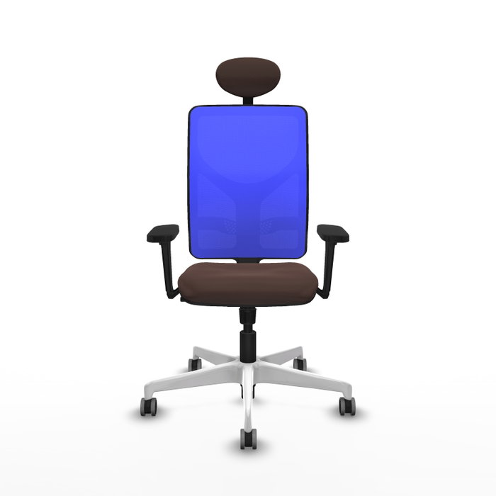 PIQUERAS Y CRESPO Silla de oficina Motilla con mecanismo Sincro, Marrón oscuro y Azul PIQUERAS Y CRESPO Silla de oficina Motilla con mecanismo Sincro, Marrón oscuro y Azul