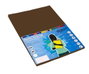 Fabrisa Papel Color Marrón A4 80g 100 Hojas