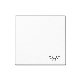 Jung A 590 L WW Wippe interruptor de luz con símbolo de luz, plateado, para interiores