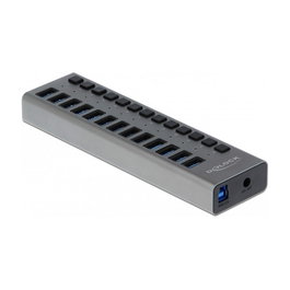 DeLOCK Concentrador USB 5 Gbps con 13 Puertos y Conmutadores Gris