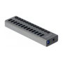 DeLOCK Concentrador USB 5 Gbps con 13 Puertos y Conmutadores Gris