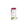 PHYSALIS Extracto de Ginkgo Biloba BIO 100ml