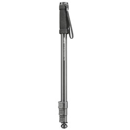 Walimex WT-1003 Basic Monopod, 171cm