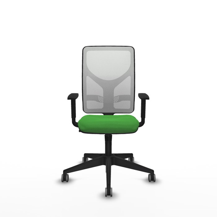 PIQUERAS Y CRESPO Silla de oficina Motilla con mecanismo Sincro, Verde y Blanco PIQUERAS Y CRESPO Silla de oficina Motilla con mecanismo Sincro, Verde y Blanco