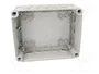 OBO BETTERMANN Caja de conexiones gris claro IP66