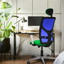 PIQUERAS Y CRESPO Silla de oficina Motilla Verde petróleo y Azul