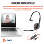HP Auriculares Diadema Mono Blackwire C3210 para Oficina/Centro de Llamadas, Negro, USB-C con Adaptador USB-A, 64 g, Incluye Software Poly Lens