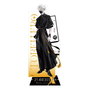 To Be Hero X Figura acrilico Hero Show Series Ghostblade 18 cm