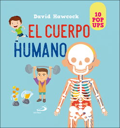 Cuerpo humano, David Hawcock - SAN PABLO EDITORIAL