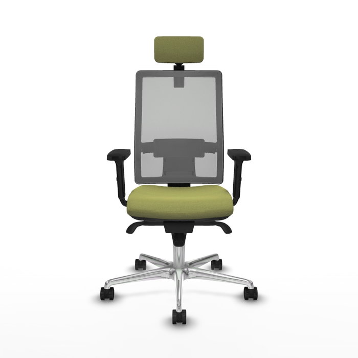 PIQUERAS Y CRESPO Silla de oficina Horna con mecanismo Sincro, Verde oliva y Gris PIQUERAS Y CRESPO Silla de oficina Horna con mecanismo Sincro, Verde oliva y Gris