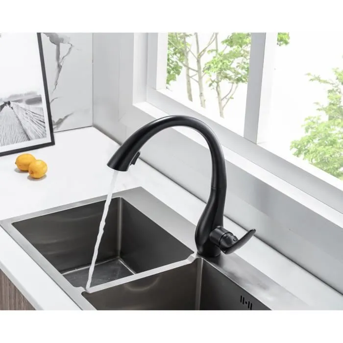 Grifo de cocina - Mezclador mecánico - Negro mate - Giratorio 360° - 2 chorros - OCEANIC - Con ducha extraíble