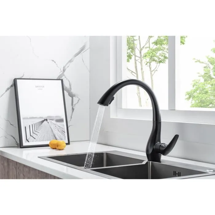 Grifo de cocina - Mezclador mecánico - Negro mate - Giratorio 360° - 2 chorros - OCEANIC - Con ducha extraíble