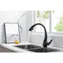 Grifo de cocina - Mezclador mecánico - Negro mate - Giratorio 360° - 2 chorros - OCEANIC - Con ducha extraíble