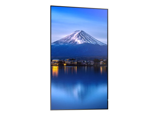 Monitor Videowall NEC MultiSync P656 4K Ultra HD 64,5"