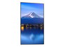 Monitor Videowall NEC MultiSync P656 4K Ultra HD 64,5"