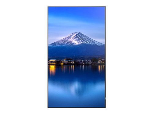 Monitor Videowall NEC MultiSync P656 4K Ultra HD 64,5"