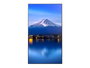 Monitor Videowall NEC MultiSync P656 4K Ultra HD 64,5"