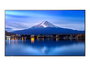 Monitor Videowall NEC MultiSync P656 4K Ultra HD 64,5"