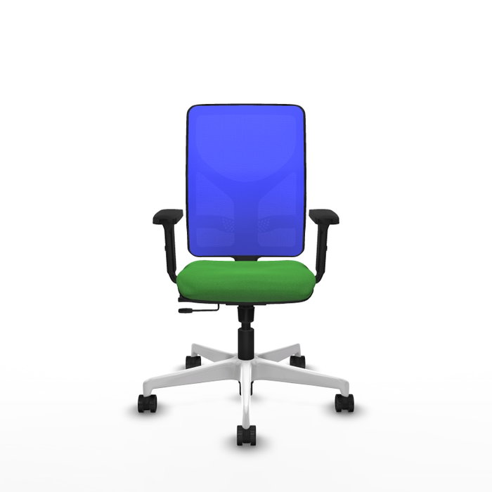 PIQUERAS Y CRESPO Silla de oficina Motilla con mecanismo Sincro/Traslack, Verde y Azul PIQUERAS Y CRESPO Silla de oficina Motilla con mecanismo Sincro/Traslack, Verde y Azul