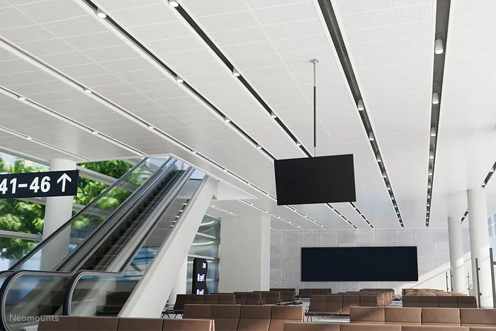 Neomounts NS-EP100BLACK Barra de extensión de acero negro 100 cm, para soporte de techo/brazo de monitor, amplía altura a 107.5 cm