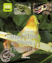 Insectos, anfibios y reptiles, Varios autores - TIKAL EDICIONES