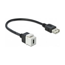 DeLOCK 86391 Módulo Keystone USB C Hembra a USB A Hembra con Cable Plano