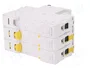 SCHNEIDER ELECTRIC Interruptor magnetotérmico ACTI9 iC60H 3P 63A Caract C