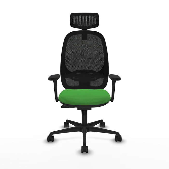 PIQUERAS Y CRESPO Silla de oficina Cilanco con mecanismo Sincro, Verde y Negro PIQUERAS Y CRESPO Silla de oficina Cilanco con mecanismo Sincro, Verde y Negro