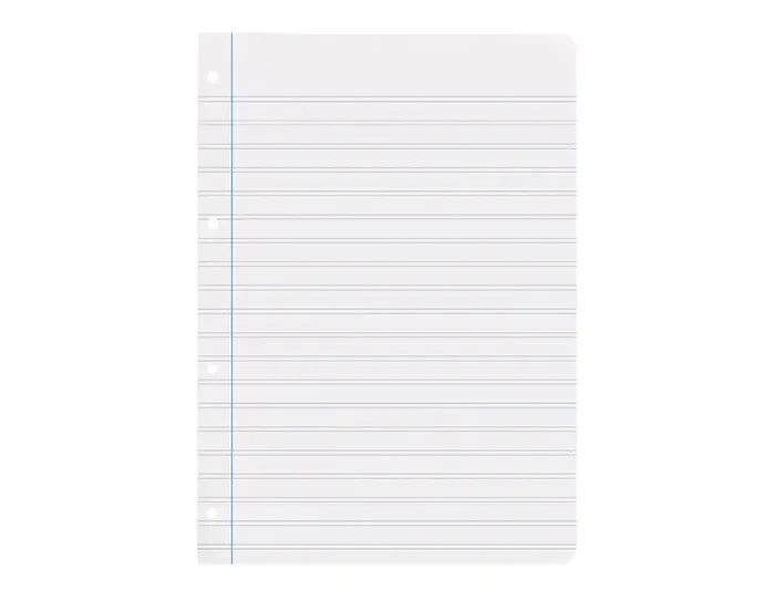 Liderpapel Recambio A4 100 Hojas 100gr Pauta 5ª 2.5mm Con Margen 4 Taladros