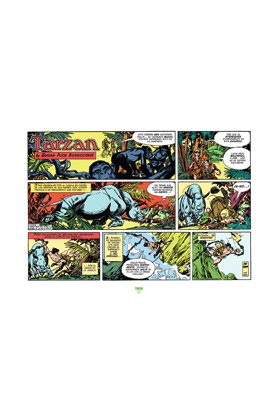 Tebeos Dolmen Editorial S.L. TARZAN VOL 06 (1979-1981)