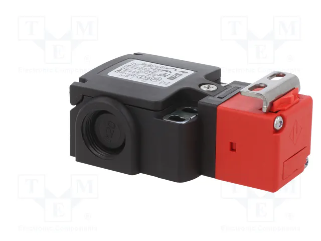 PIZZATO ELETTRICA Interruptor de seguridad a llave FX 993-D1M2