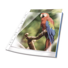 Durable 265506 Protector de Hojas A4 Polipropileno (PP) Neutras Acabado Cristal Calidad Premium con Refuerzo Azul Transparente Bolsa 25 Unidades