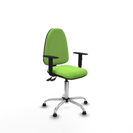 PIQUERAS Y CRESPO Silla de oficina Aýna Pistacho con Base Cromada