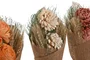 DKD Home Decor Ramo de Flor Seca y Yute Surtido 20x8x35 cm