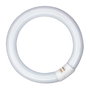 Patron Tubo fluorescente circular 20w G10q Luz fría Ø210 mm T9