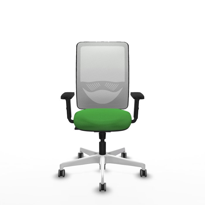 PIQUERAS Y CRESPO Silla de oficina Zulema con mecanismo Sincro Verde y Blanco PIQUERAS Y CRESPO Silla de oficina Zulema con mecanismo Sincro Verde y Blanco
