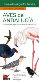 TUNDRA, AVES DE ANDALUCIA - GUIAS DESPLEGABLES TUNDRA