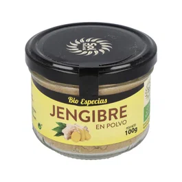 SOLNATURAL Jengibre En Polvo 100Gr. Bio