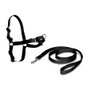 Petsafe Easy Walk Arnés Negro Pequeño para Perros Anti-Tirón