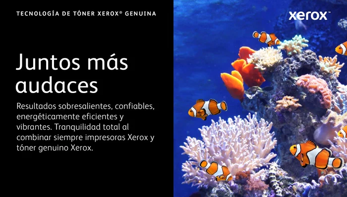 Xerox Cartucho de Tóner Original Amarillo 006R04619 para VersaLink C620 C625 - 6000 Páginas - 1 Unidad Xerox Cartucho de Tóner Original Amarillo 006R04619 para VersaLink C620 C625 - 6000 Páginas - 1 Unidad
