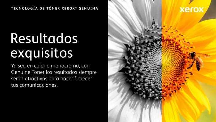 Xerox Cartucho de Tóner Original Amarillo 006R04619 para VersaLink C620 C625 - 6000 Páginas - 1 Unidad Xerox Cartucho de Tóner Original Amarillo 006R04619 para VersaLink C620 C625 - 6000 Páginas - 1 Unidad