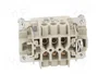 WIELAND Conector HDC Hembra Tamaño 6 de 6 Pines