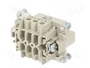 WIELAND Conector HDC Hembra Tamaño 6 de 6 Pines