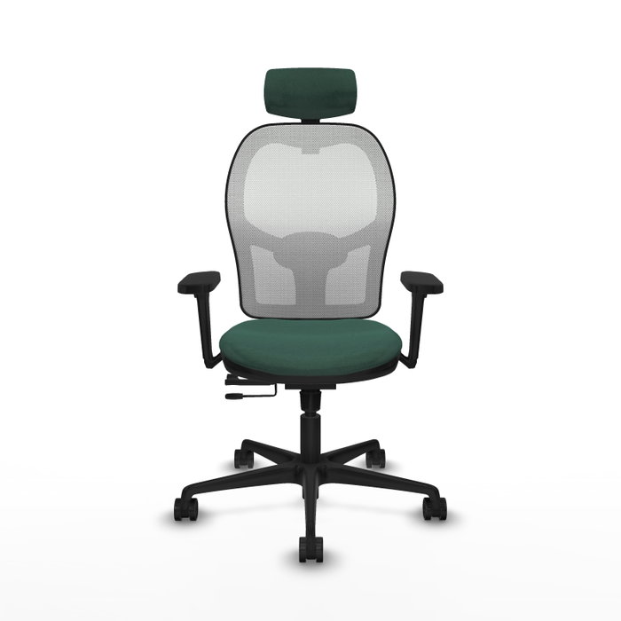 PIQUERAS Y CRESPO Silla de oficina Jorquera con mecanismo Sincro/Traslack, Tela Verde botella y Malla Blanca PIQUERAS Y CRESPO Silla de oficina Jorquera con mecanismo Sincro/Traslack, Tela Verde botella y Malla Blanca
