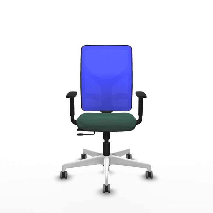 PIQUERAS Y CRESPO Silla de oficina Motilla con mecanismo Sincro/Traslack, Verde botella y Azul PIQUERAS Y CRESPO Silla de oficina Motilla con mecanismo Sincro/Traslack, Verde botella y Azul
