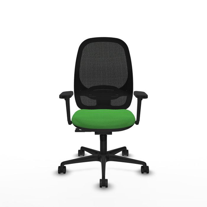 PIQUERAS Y CRESPO Silla de oficina Cilanco con mecanismo Sincro, Verde y Negro PIQUERAS Y CRESPO Silla de oficina Cilanco con mecanismo Sincro, Verde y Negro