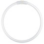 Osram Lámpara Fluorescente Circular T5 FC 22W 840 2GX13