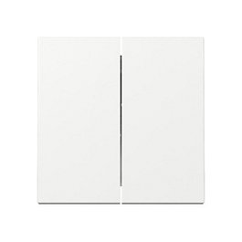 GIRA 329503 Wippe 2f System 55 Placa Frontal Blanca Mate